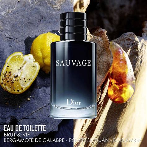 eau de toilette christian dior pour homme|men's sauvage eau de toilette.